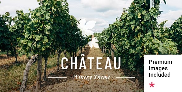 v1.1 Chateau- Winery and Wine Shop Theme - Download Your Script